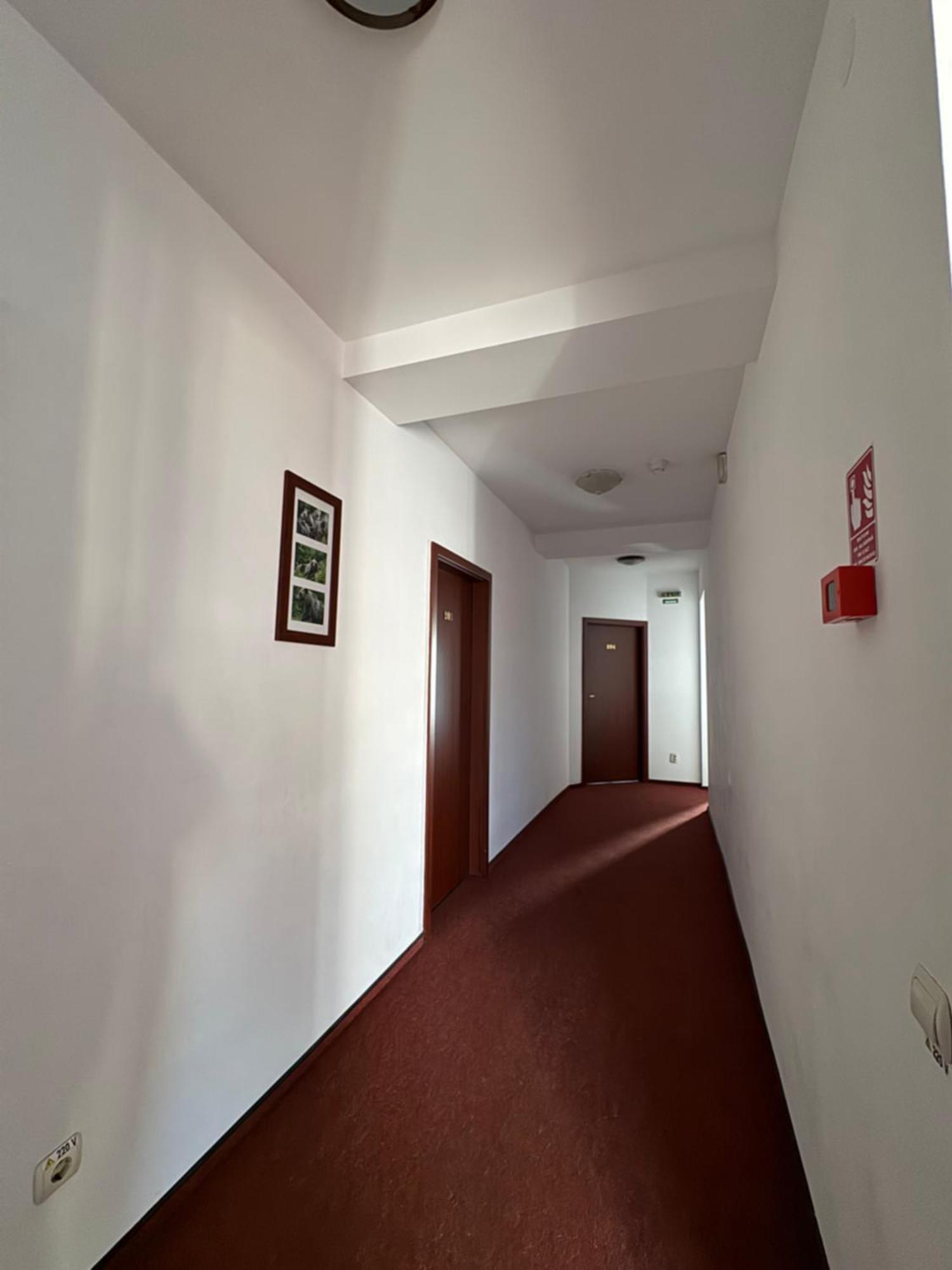 Pensiune Montana Curtea de Argeş Extérieur photo